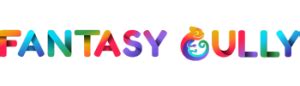 fantasy gully|FantasyGully .
